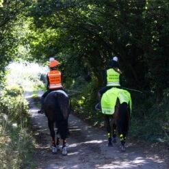 WoofWear Hi Vis Adults Vest