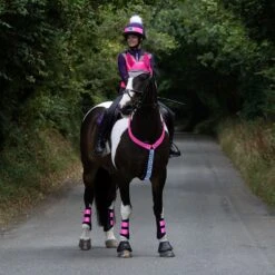 WOOFWEAR HI VIS NECK BAND